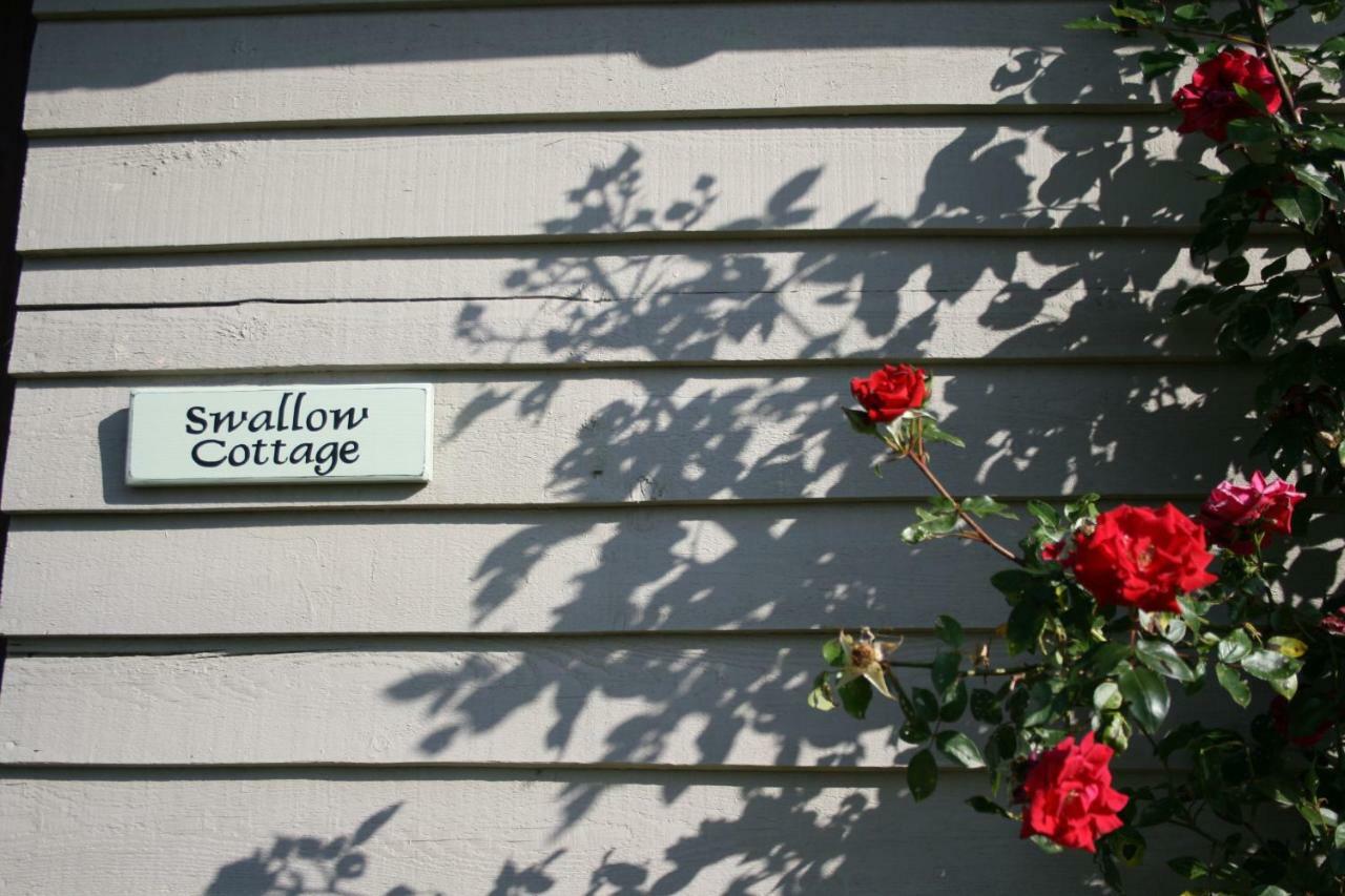Spacious Swallow Cottage Tisbury Exterior foto